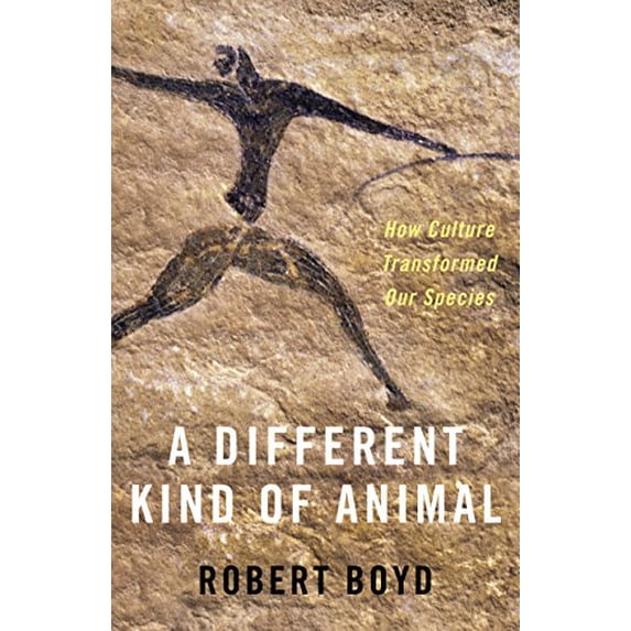 Pre-Owned A Different Kind of Animal: How Culture Transformed Our Species (Hardcover) 0691177732 9780691177731