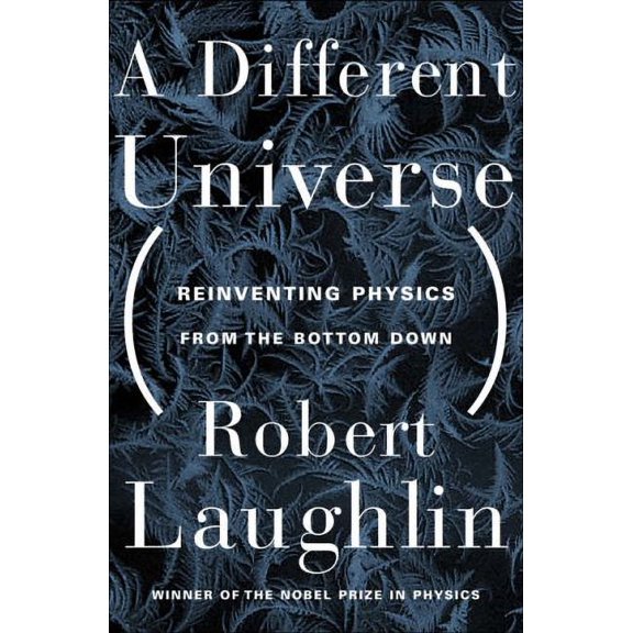 Pre-Owned A Different Universe: Reinventing Physics From the Bottom Down (Paperback) 0465038298 9780465038299