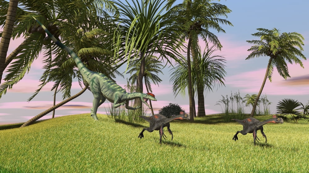 A Dilophosaurus chasing two Gigantoraptors across a grassy field Canvas Art - Kostyantyn IvanyshenStocktrek Images (38 x 22)