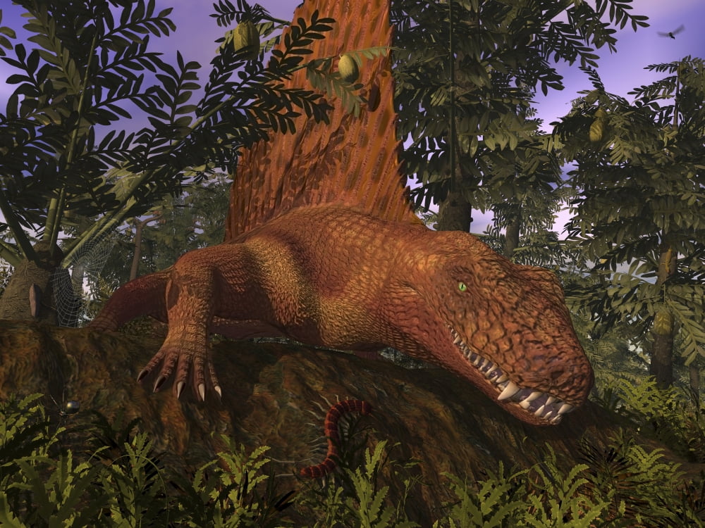 A Dimetrodon amongst Alethopteris ferns Canvas Art - Walter MyersStocktrek Images (33 x 25)