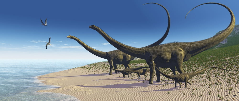 A Diplodocus herd comes down to a lake for a drink of water Canvas Art - Corey FordStocktrek Images (22 x 10)