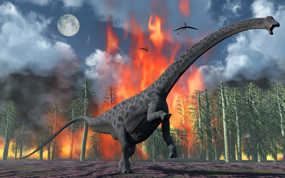 A Diplodocus sauropod dinosaur fleeing from a forest fire Canvas Art - Mark StevensonStocktrek Images (36 x 23)