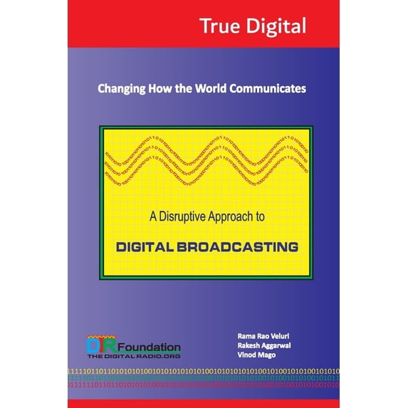 A Disruptive Approach to Digital Broadcasting (Paperback)