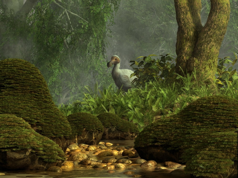 A Dodo bird hides in a dense jungle near a stream Canvas Art - Daniel EskridgeStocktrek Images (17 x 13)
