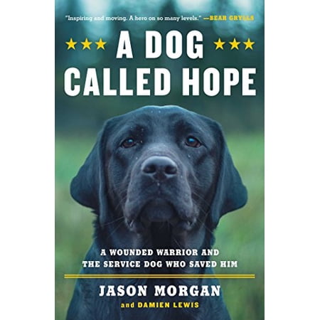 Pre-Owned A Dog Called Hope: The Special Forces Wounded Warrior and the Dog Who Dared to Love Him (Paperback) 1476797013 9781476797014