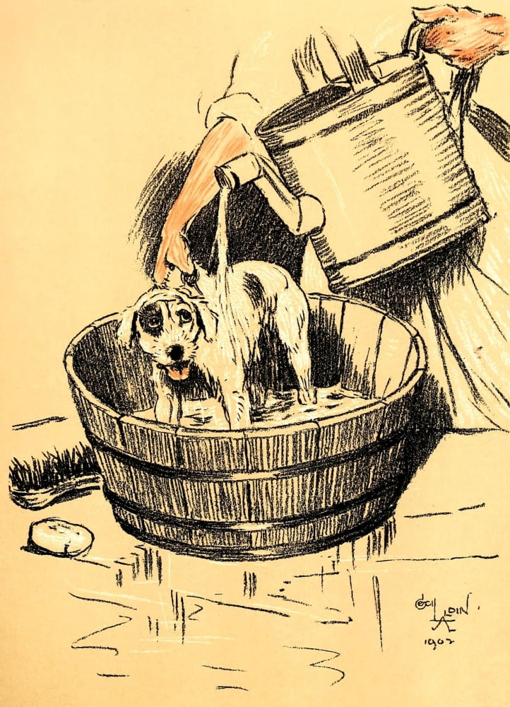 A Dog Day 1902 Bathtime Canvas Art - Cecil Aldin (24 x 36)