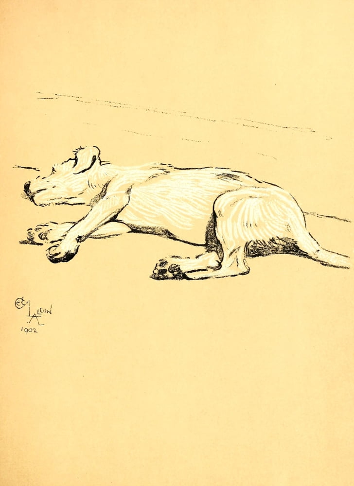 A Dog Day 1902 Dead to the world Canvas Art - Cecil Aldin (18 x 24)