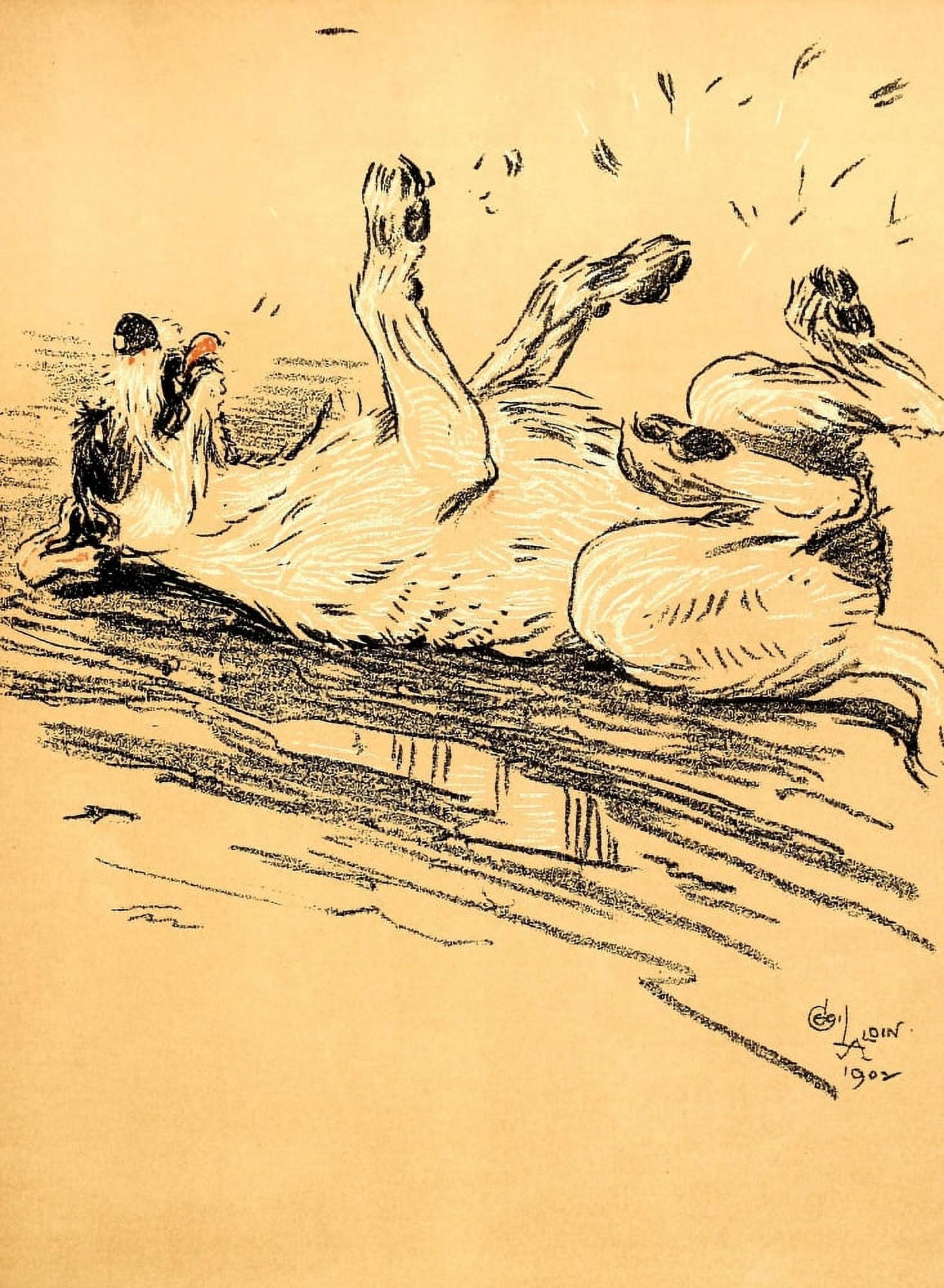 A Dog Day 1902 Drying off Canvas Art - Cecil Aldin (24 x 36)