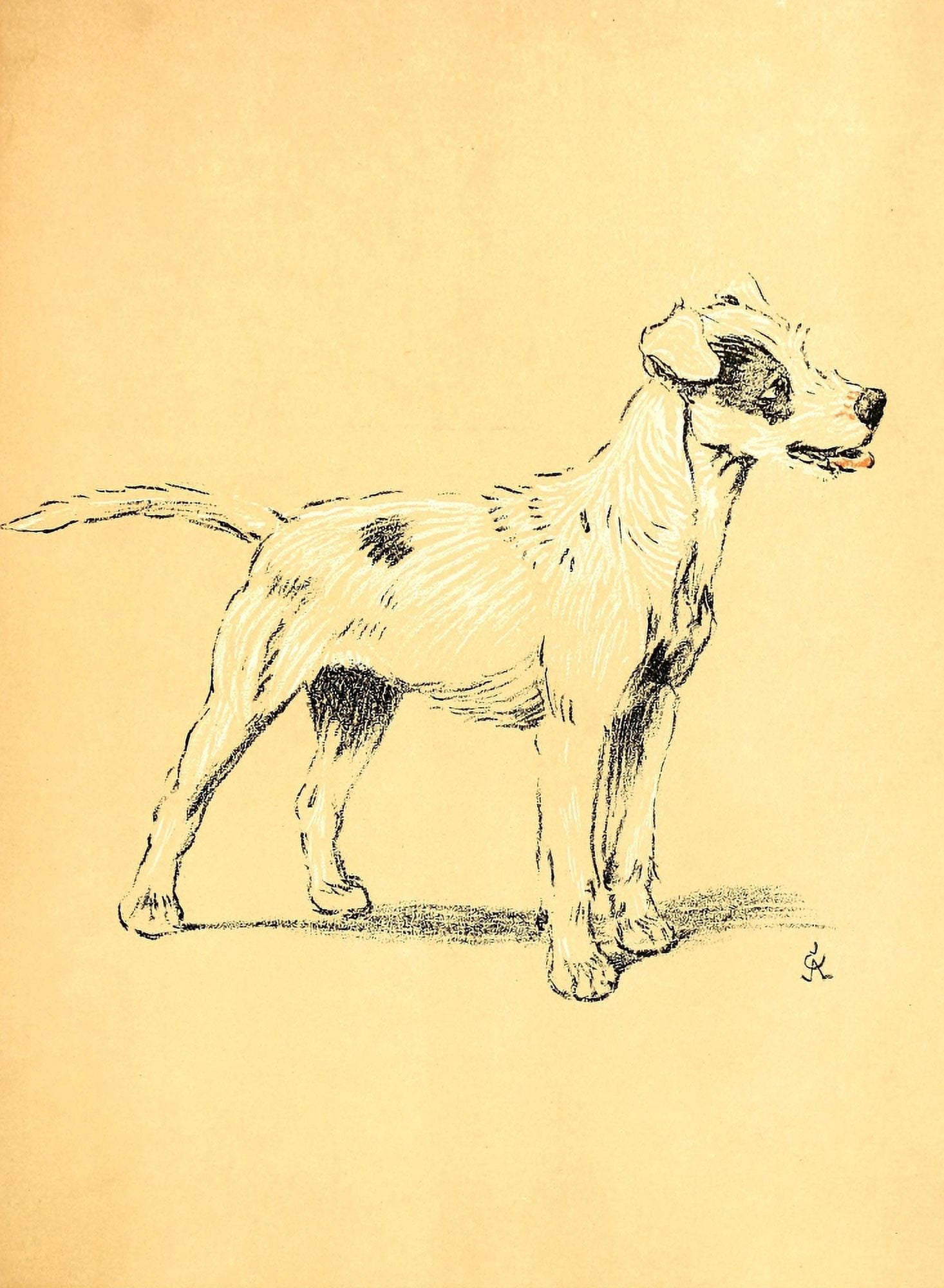 A Dog Day 1902 Eager Canvas Art - Cecil Aldin (24 x 36)