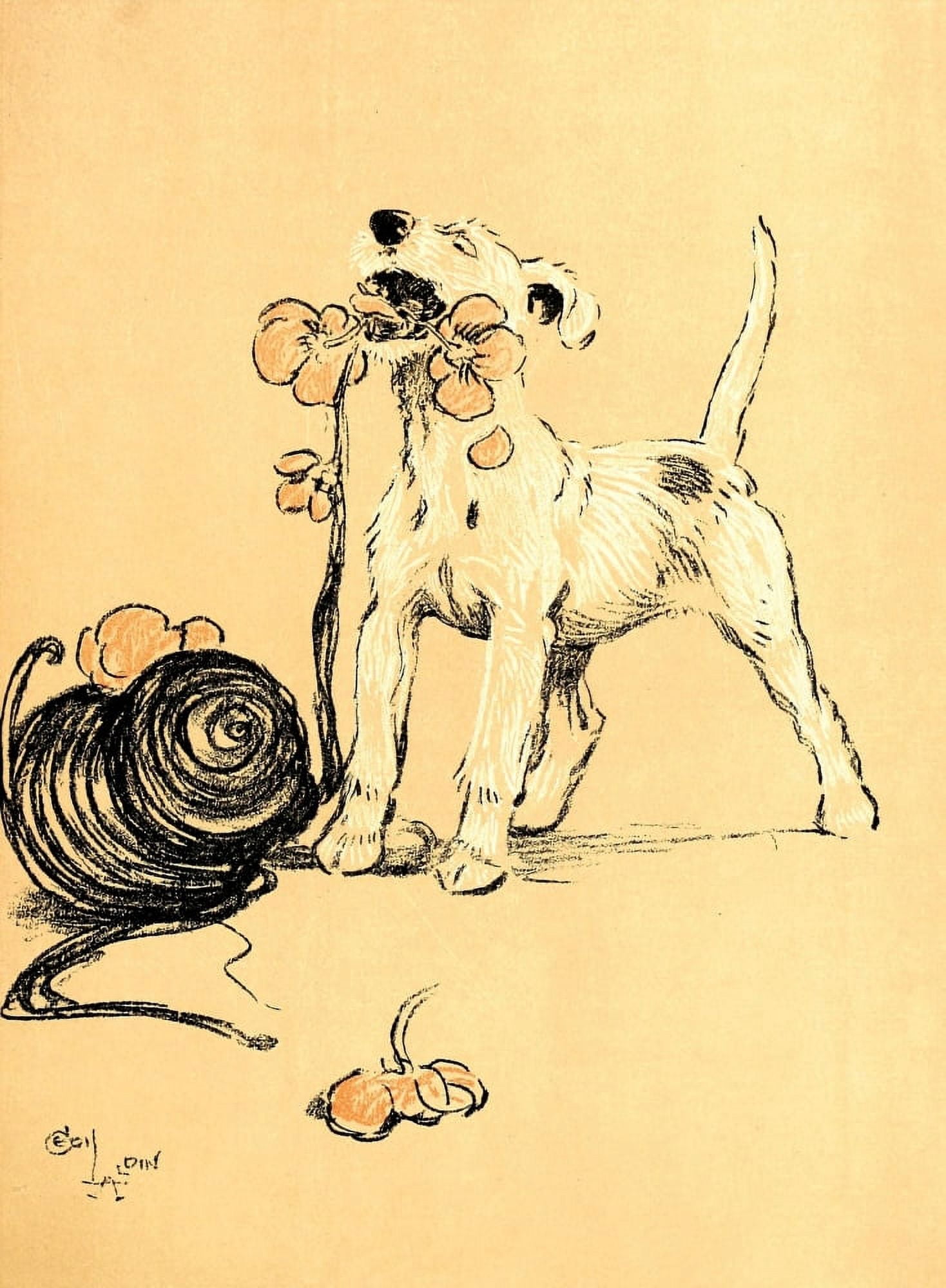 A Dog Day 1902 Eating the flowers from a bonnet Canvas Art - Cecil Aldin (18 x 24)
