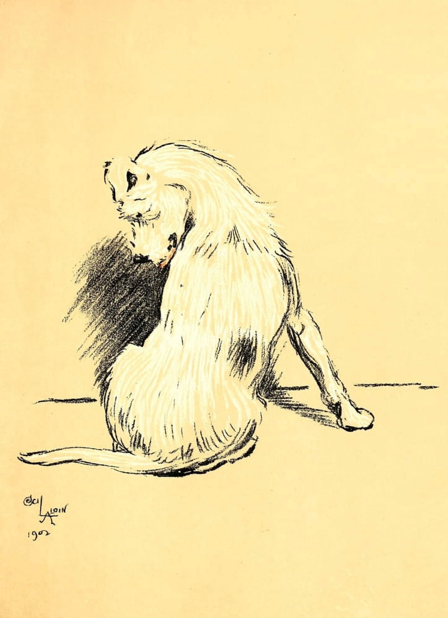 A Dog Day 1902 Itch Canvas Art - Cecil Aldin (18 x 24)