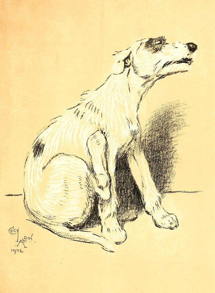 A Dog Day 1902 Quick scratch Canvas Art - Cecil Aldin (18 x 24)