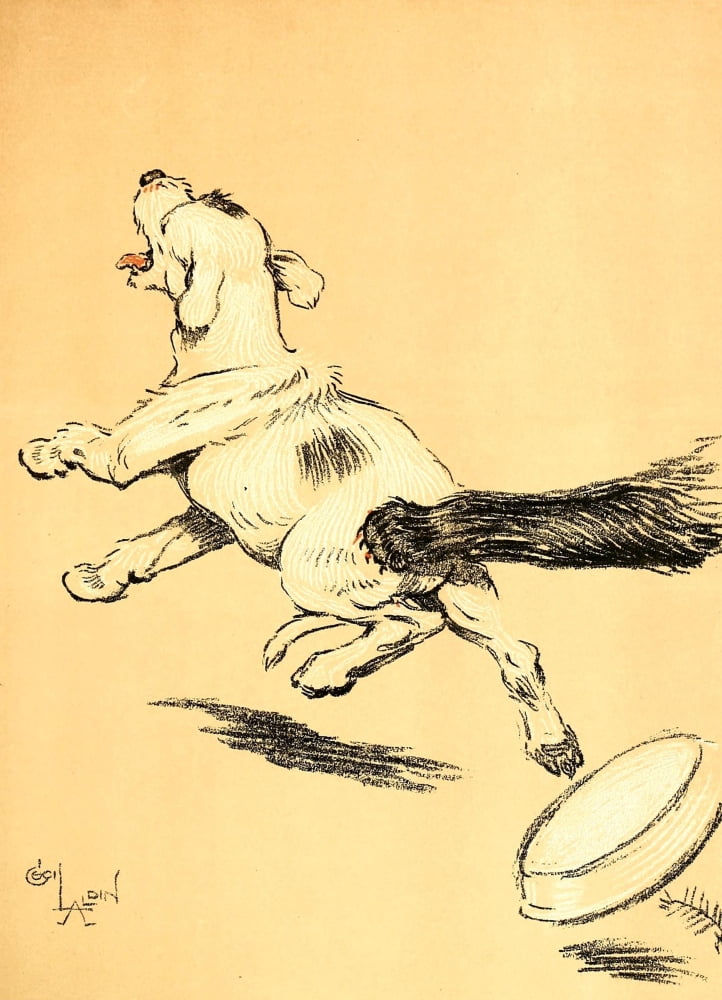 A Dog Day 1902 Scared off by the cat Canvas Art - Cecil Aldin (18 x 24)