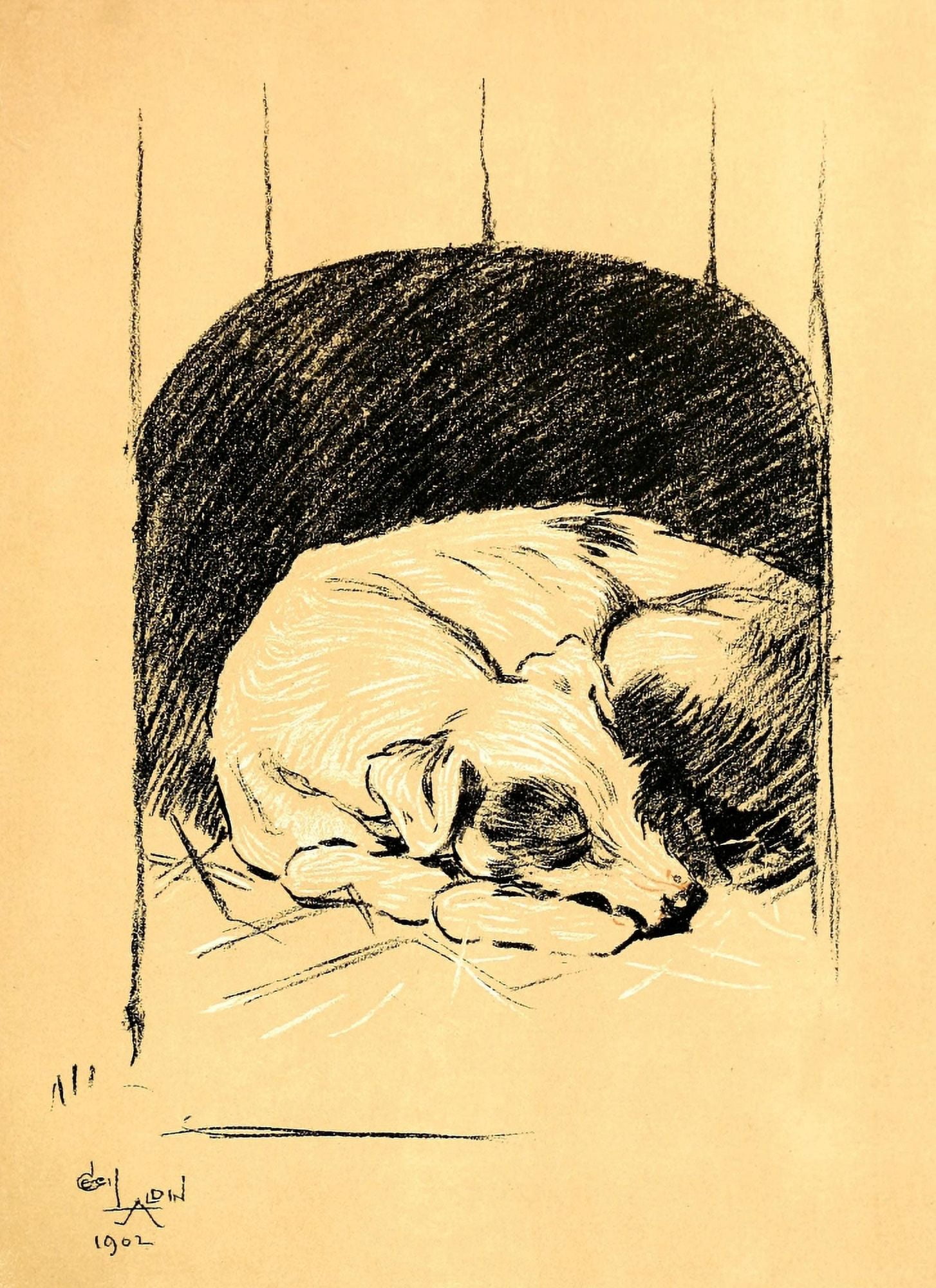 A Dog Day 1902 Sleeping Canvas Art - Cecil Aldin (24 x 36)