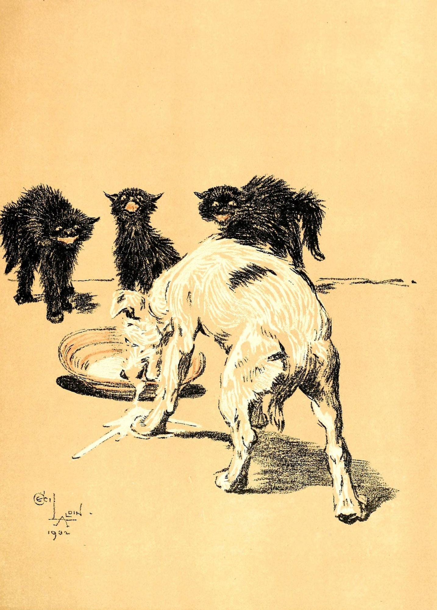 A Dog Day 1902 Stealing the cats milk Canvas Art - Cecil Aldin (24 x 36)