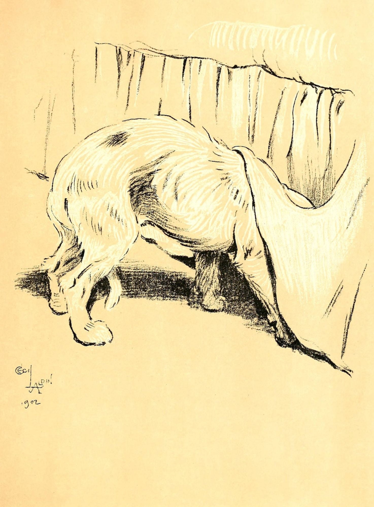 A Dog Day 1902 Trying to hide Canvas Art - Cecil Aldin (24 x 36)