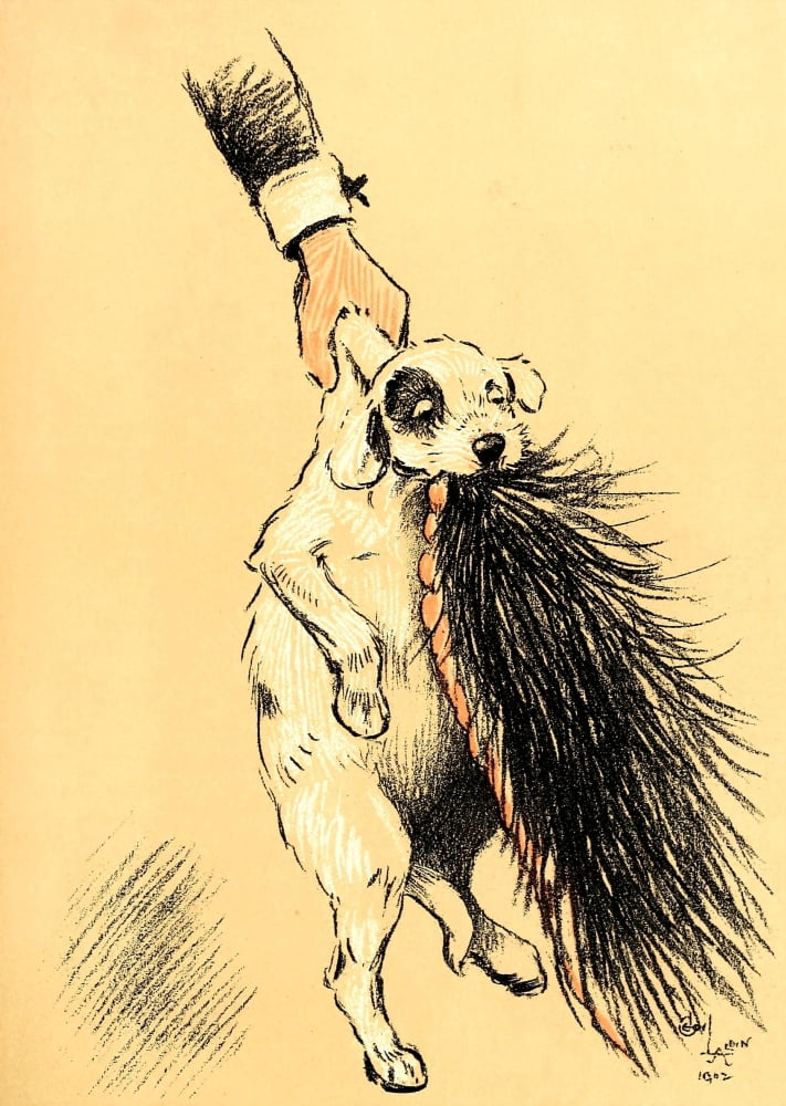 A Dog Day 1902 Trying to kill the fur rug again Canvas Art - Cecil Aldin (24 x 36)