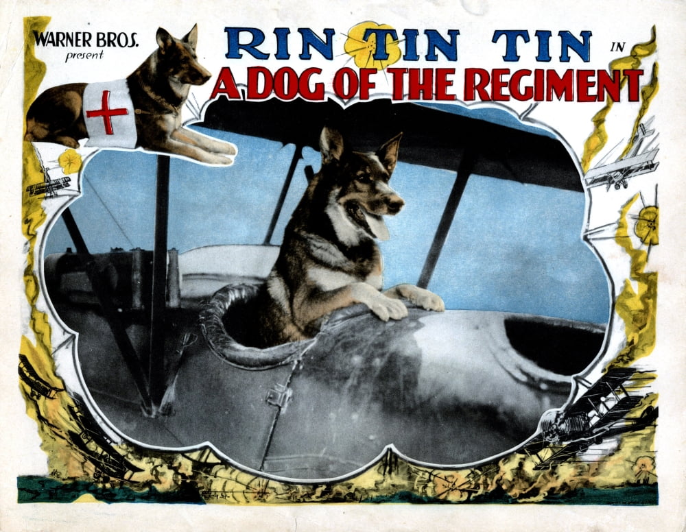 A Dog Of The Regiment Canvas Art - (28 x 22)