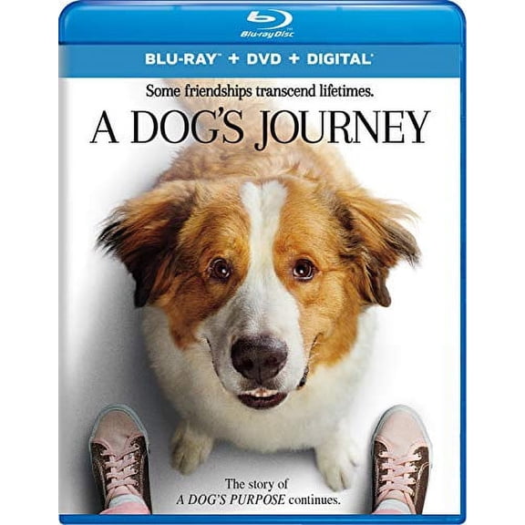 A Dog's Journey (DVD + Digital) [Blu-ray]