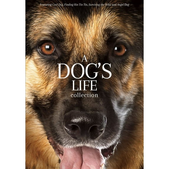 Pre-Owned A Dog's Life Collection (DVD)