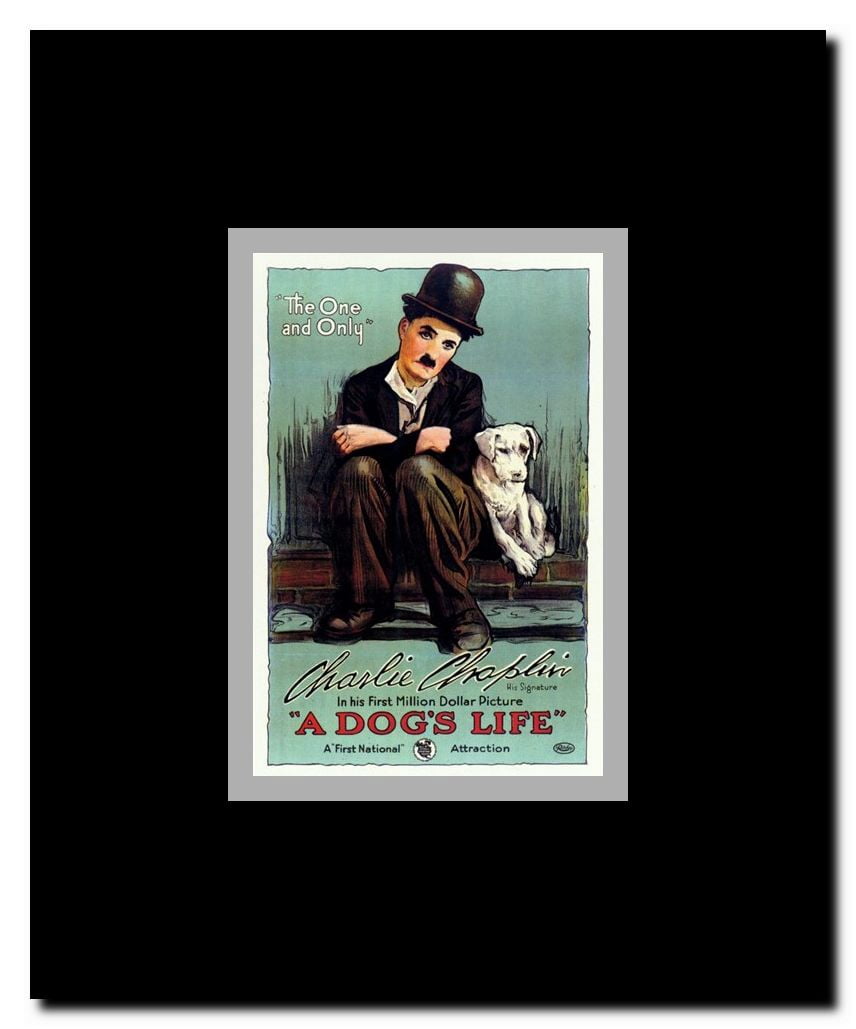 A Dog's Life Framed Movie Poster