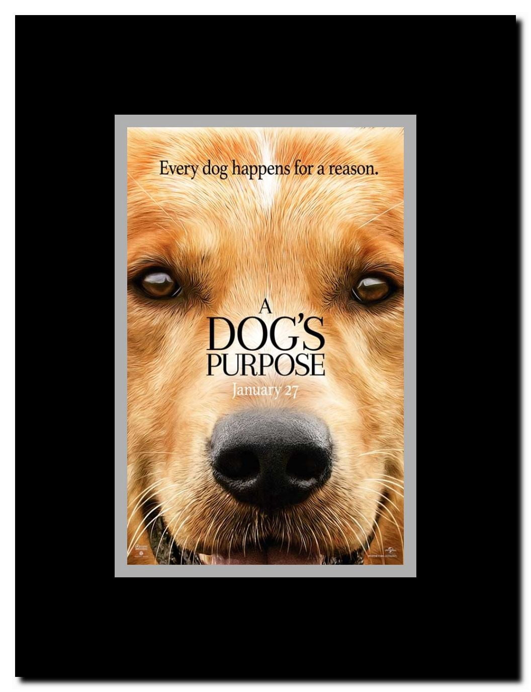 A Dog's Purpose Framed Movie Poster