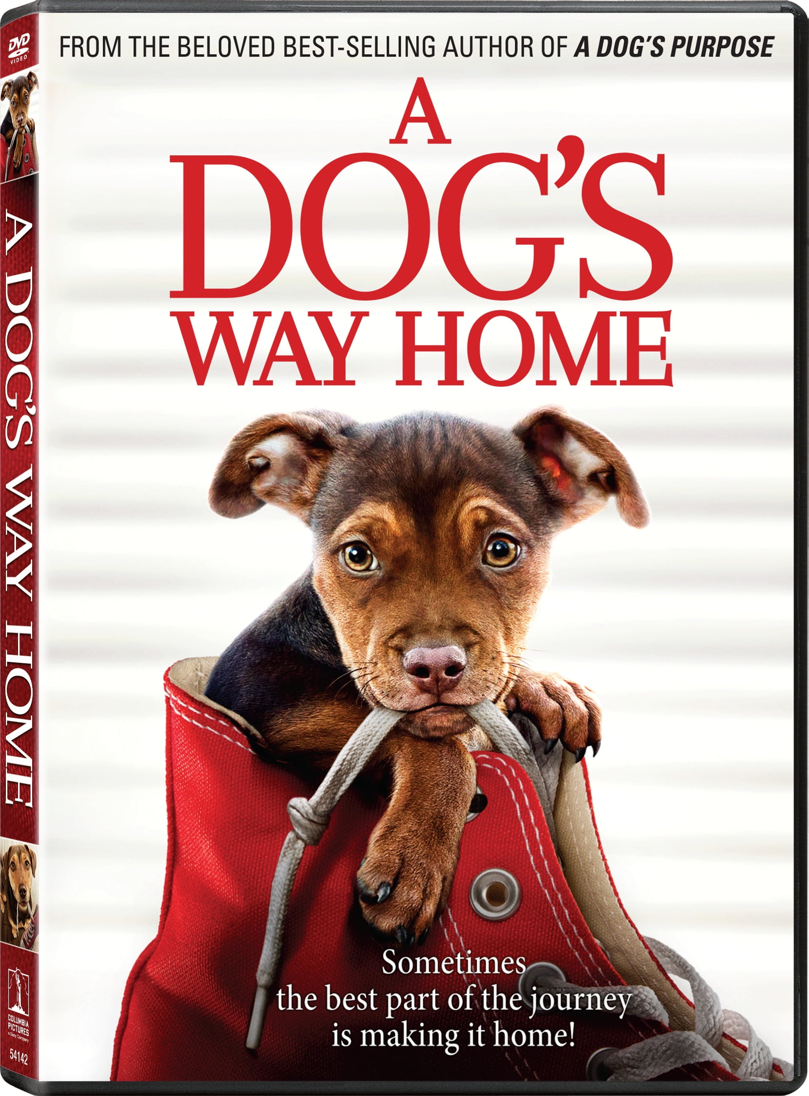 A dog's journey 123movies hotsell