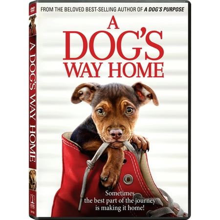 A Dog's Way Home [Includes Digital Copy] [DVD] [2019]