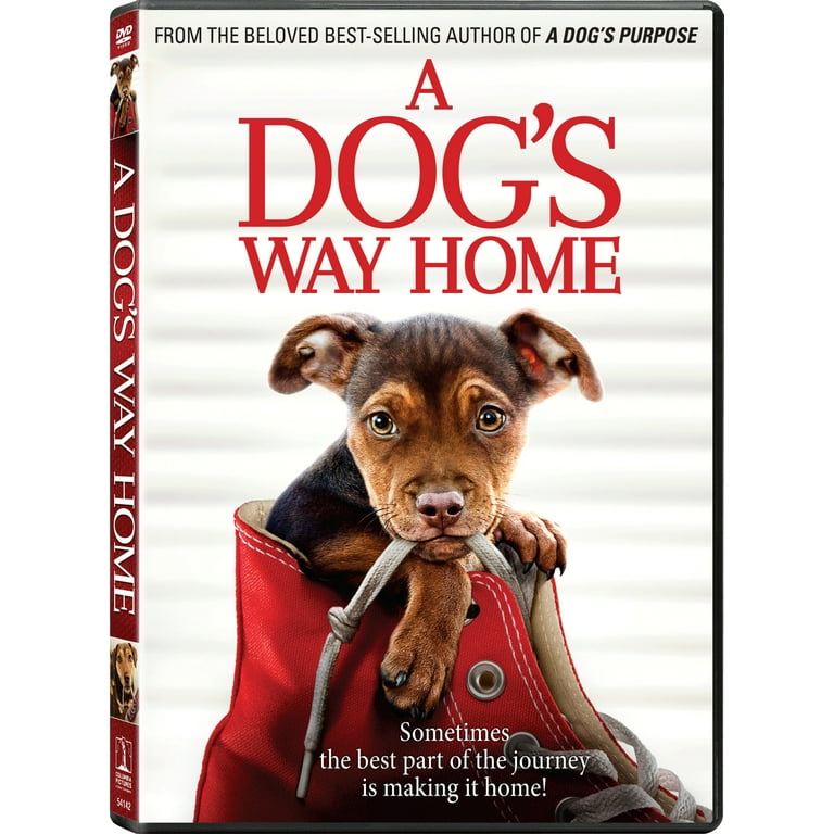 A Dog's Way Home (DVD Sony Pictures)