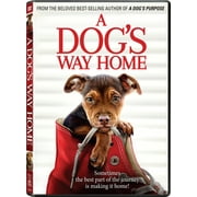 A Dog's Way Home DVD Sony Pictures