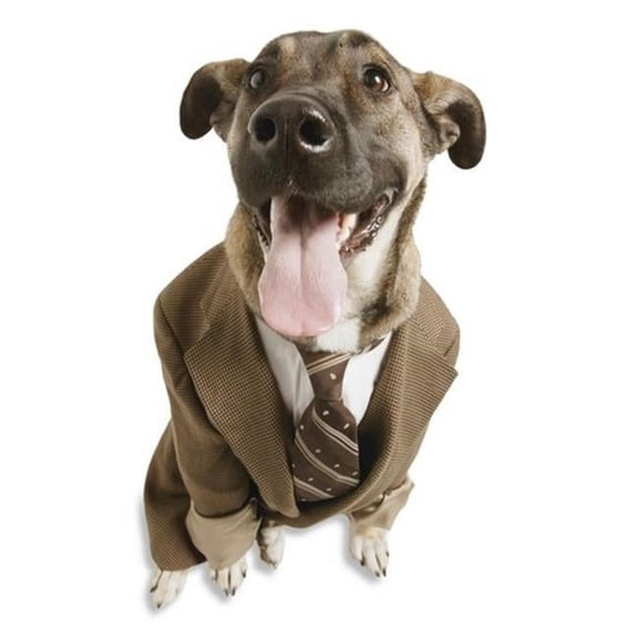 A Dog with A Suit Poster Print by Don Hammond, 22 x 32 - Large