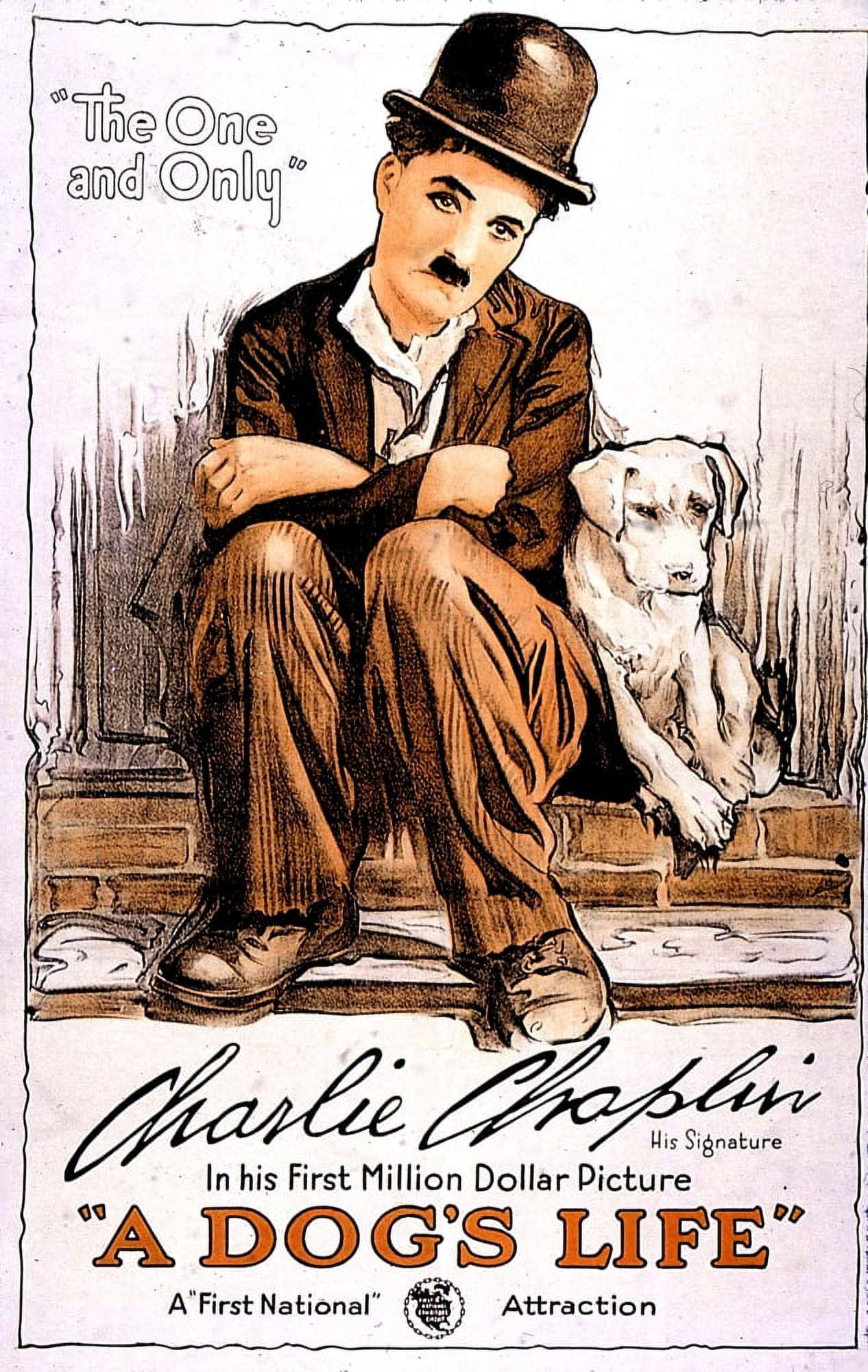 A DogS Life Canvas Art - (16 x 20)