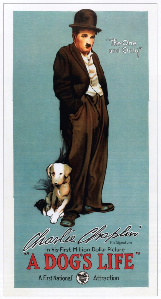 A DogS Life Canvas Art - (24 x 36)