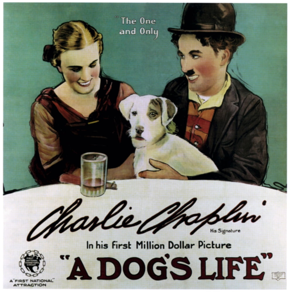 A DogS Life Canvas Art - (24 x 36)
