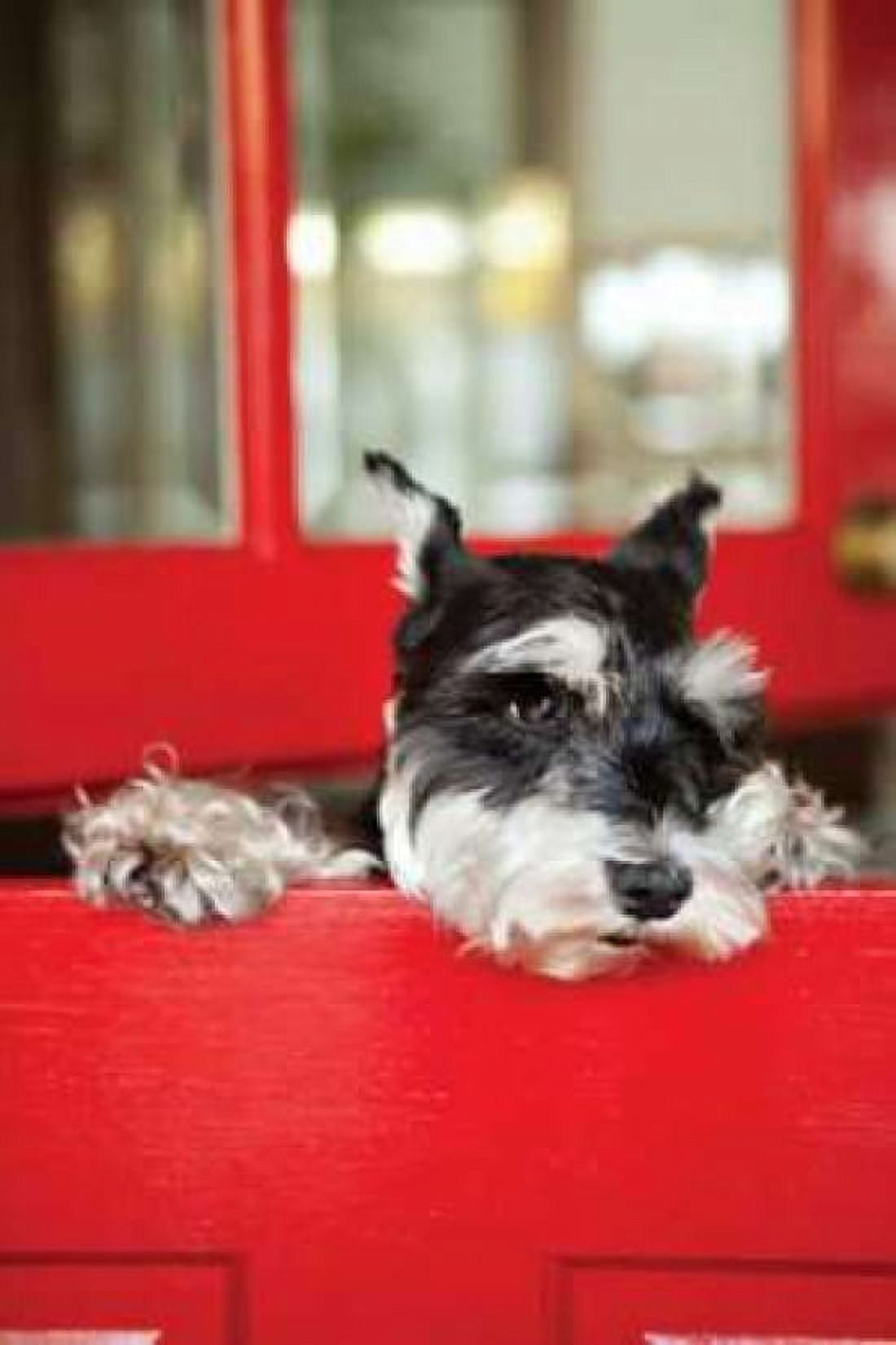 A Dogs Life I Canvas Art - Karyn Millet (24 x 36)