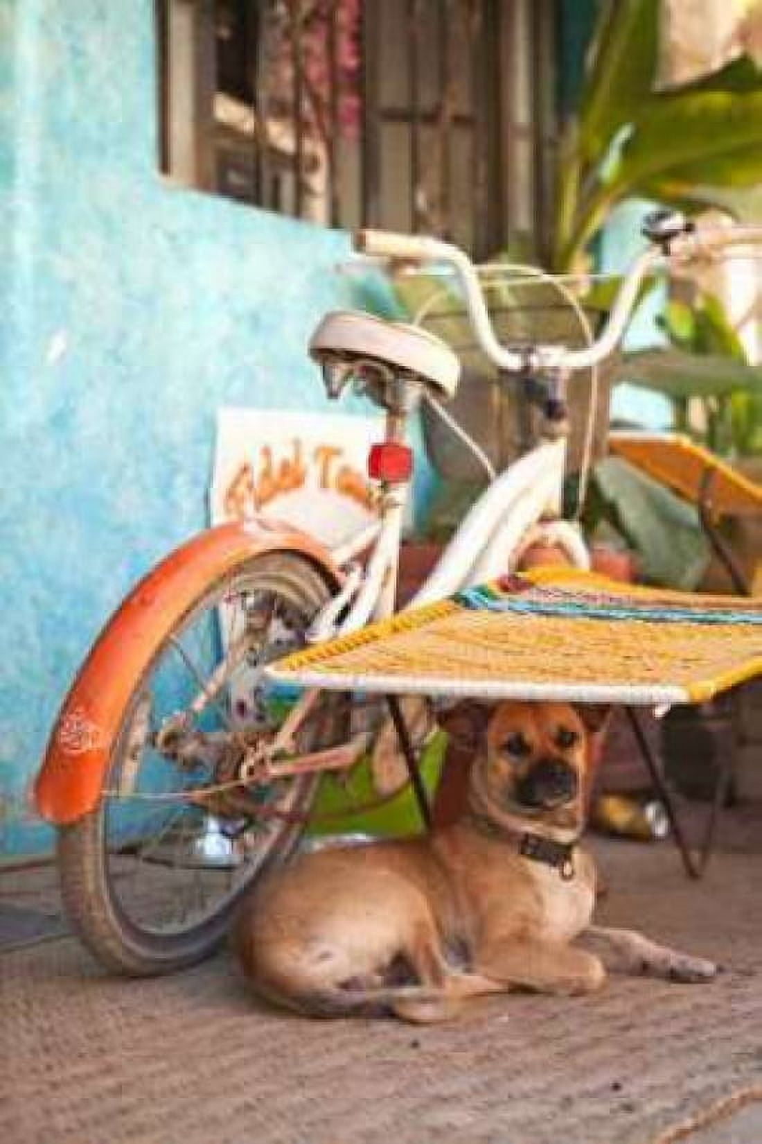 A Dogs Life IV Canvas Art - Karyn Millet (24 x 36)