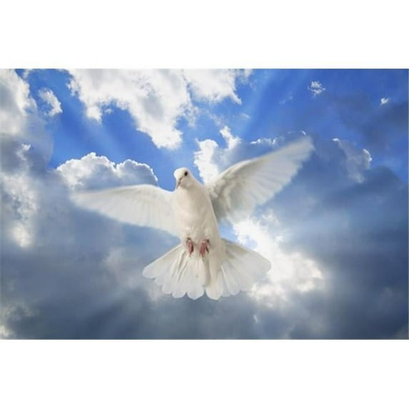A Dove in The Sky Poster Print by Don Hammond, 34 x 22 - Large