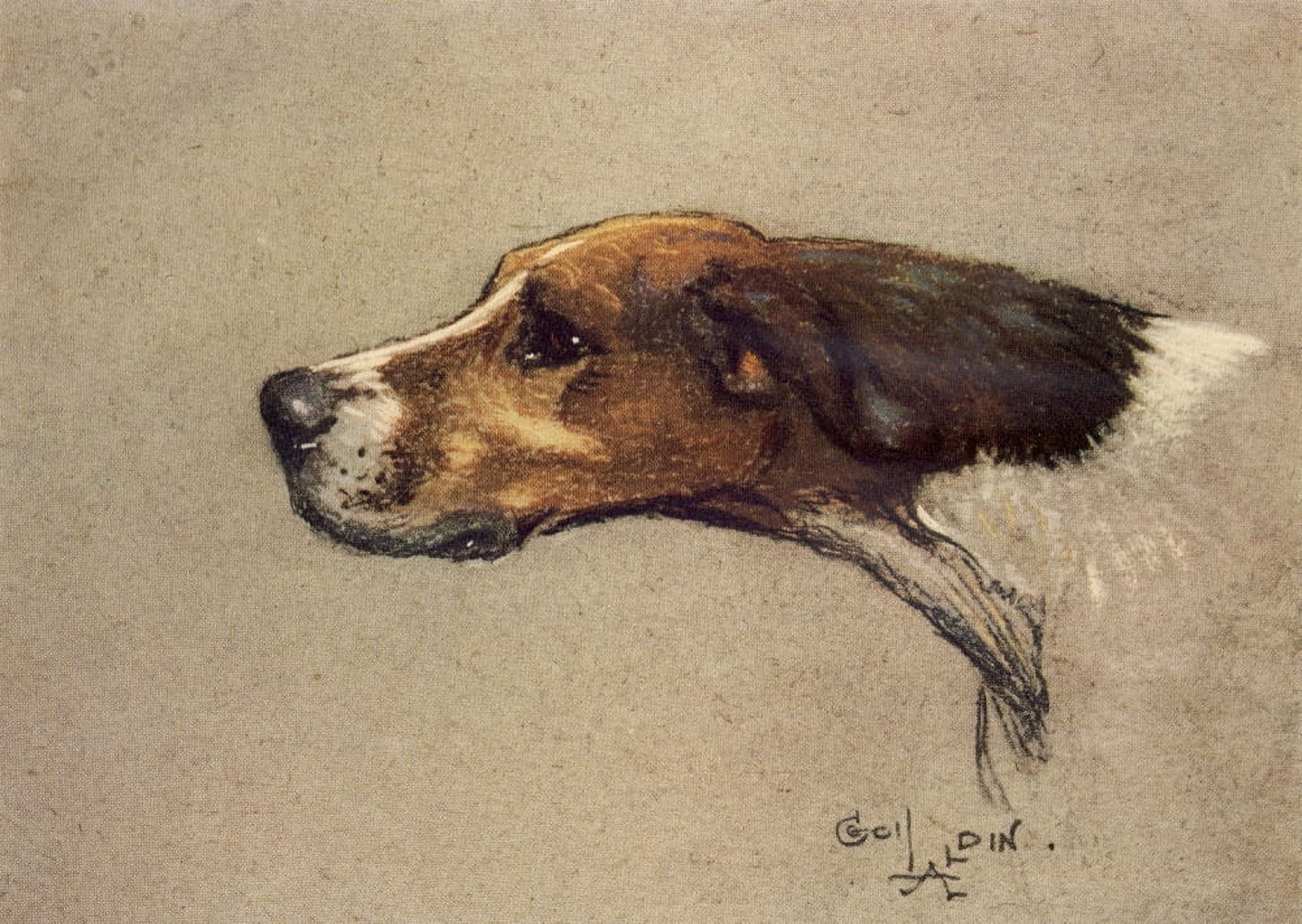 A Dozen Dogs or So 1928 Dexter the Pointer Canvas Art - Cecil Aldin (24 x 36)