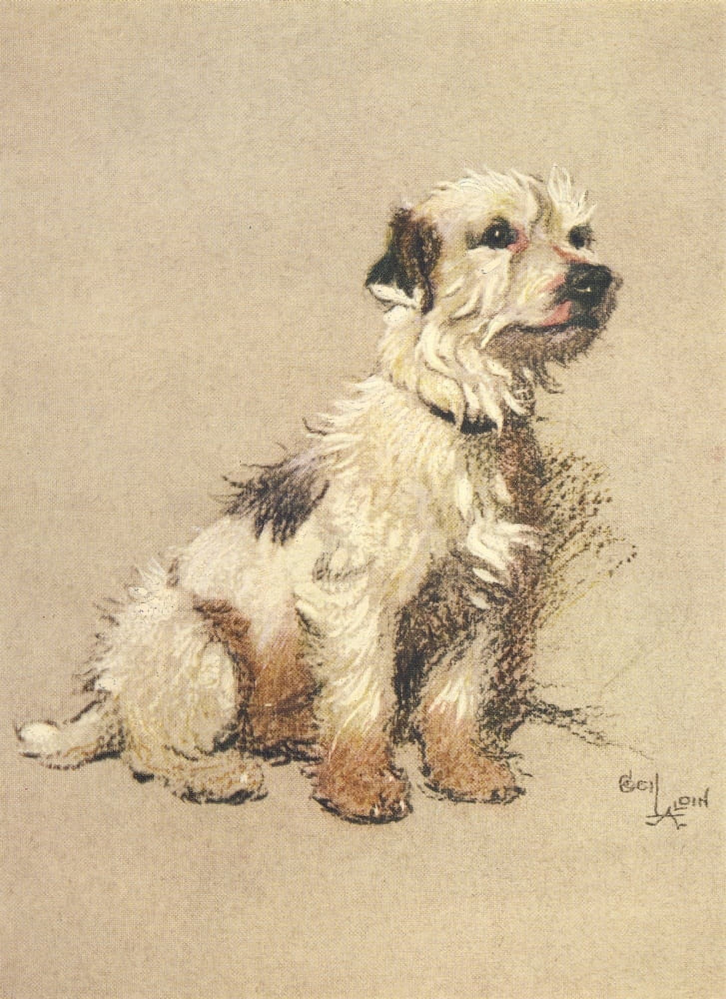 A Dozen Dogs or So 1928 Fan the hunt terrier Canvas Art - Cecil Aldin (18 x 24)