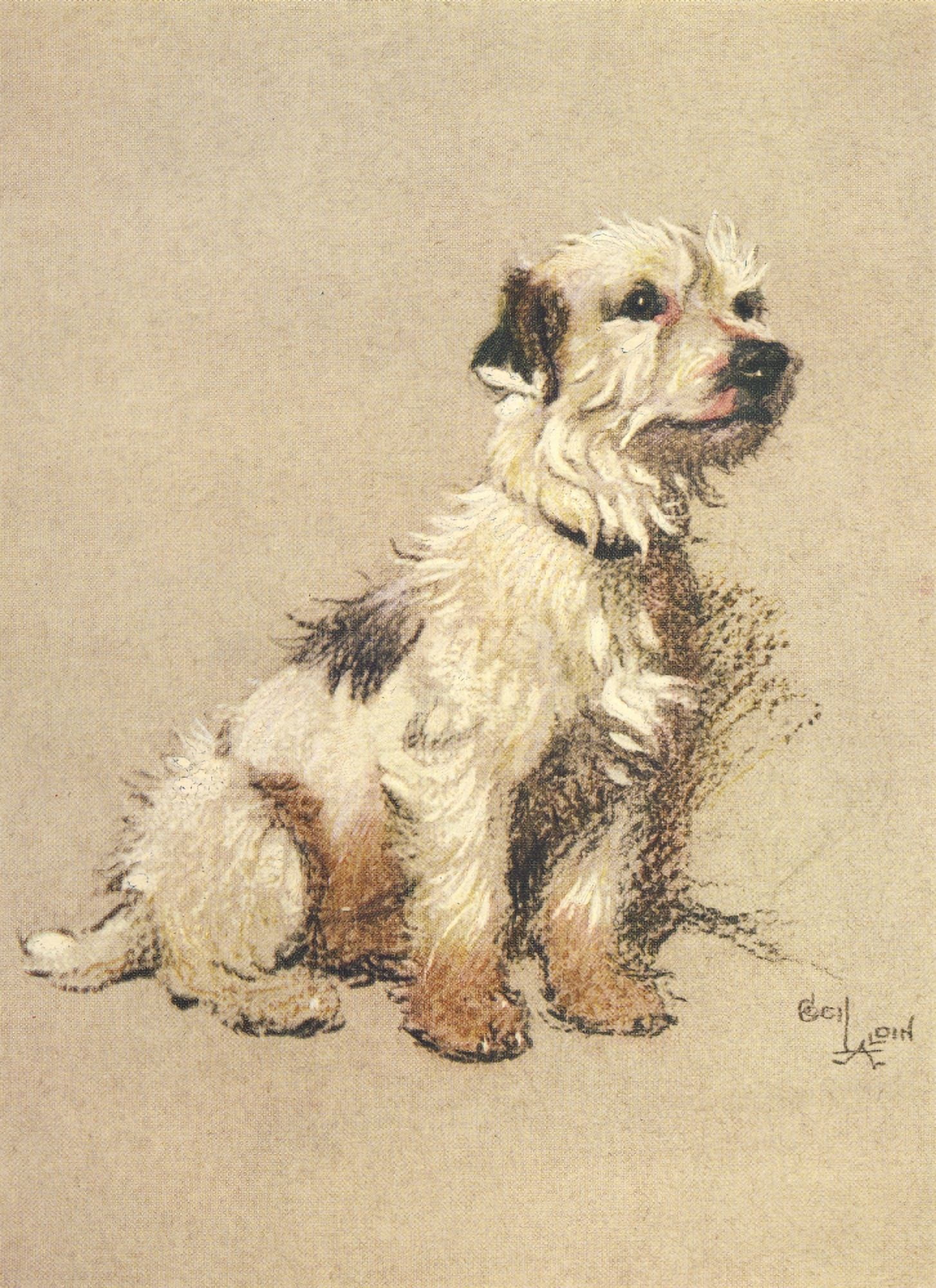 A Dozen Dogs or So 1928 Fan the hunt terrier Canvas Art - Cecil Aldin (24 x 36)