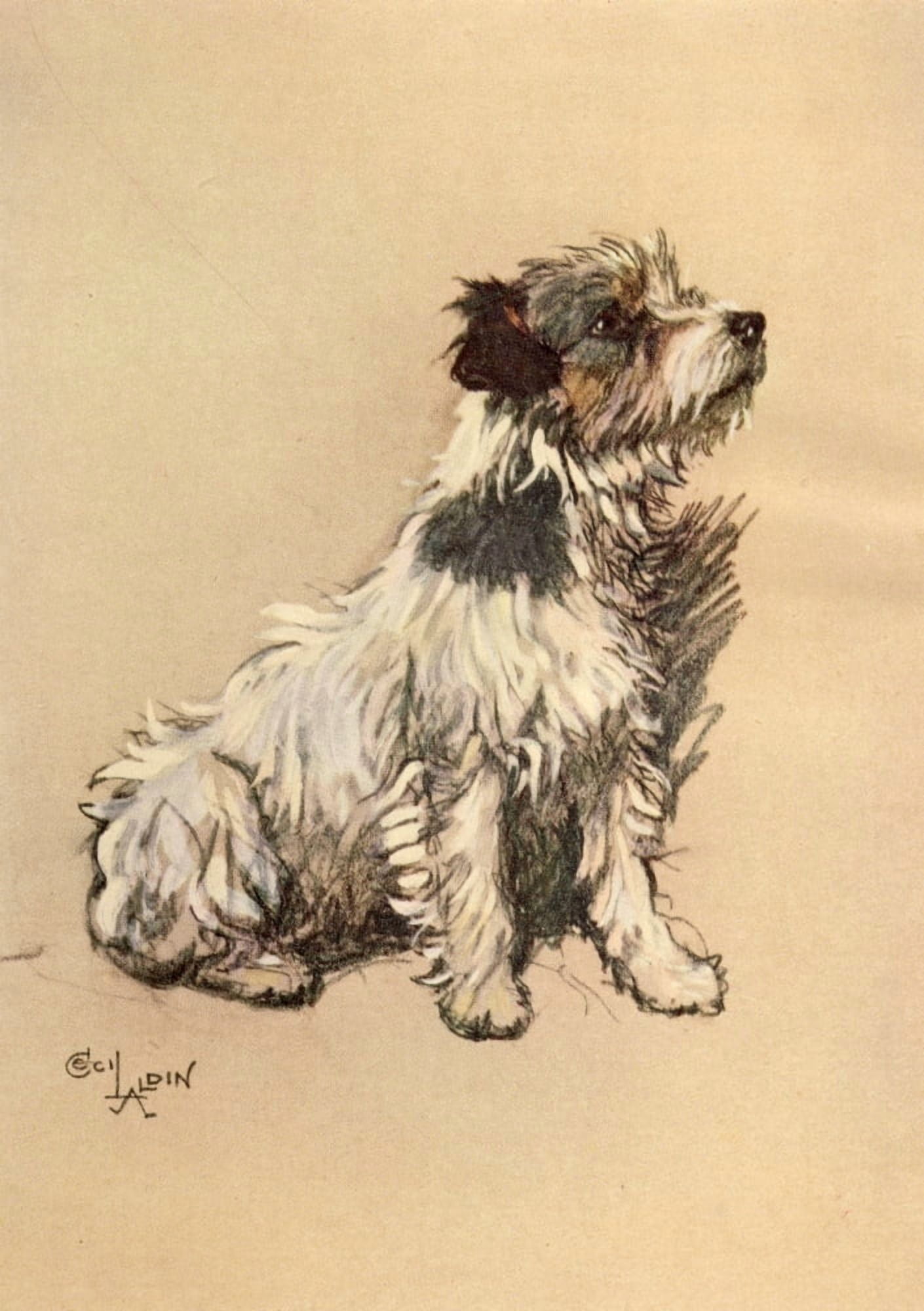 A Dozen Dogs or So 1928 Little Dog Riley Canvas Art - Cecil Aldin (18 x 24)