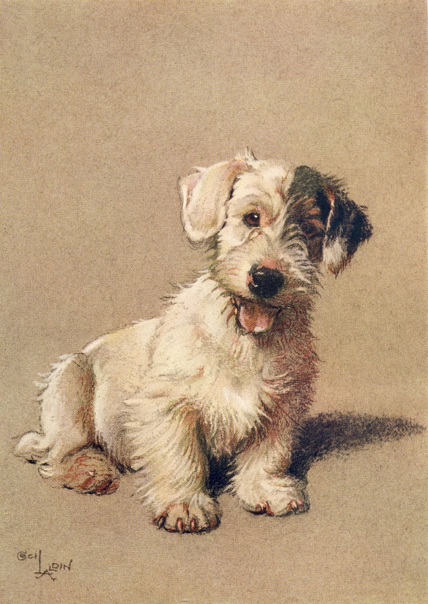 A Dozen Dogs or So 1928 Sealyham Terrier Canvas Art - Cecil Aldin (18 x 24)