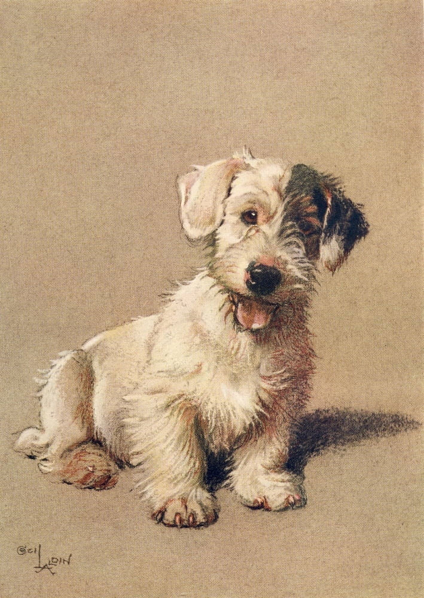 A Dozen Dogs or So 1928 Sealyham Terrier Canvas Art - Cecil Aldin (24 x 36)