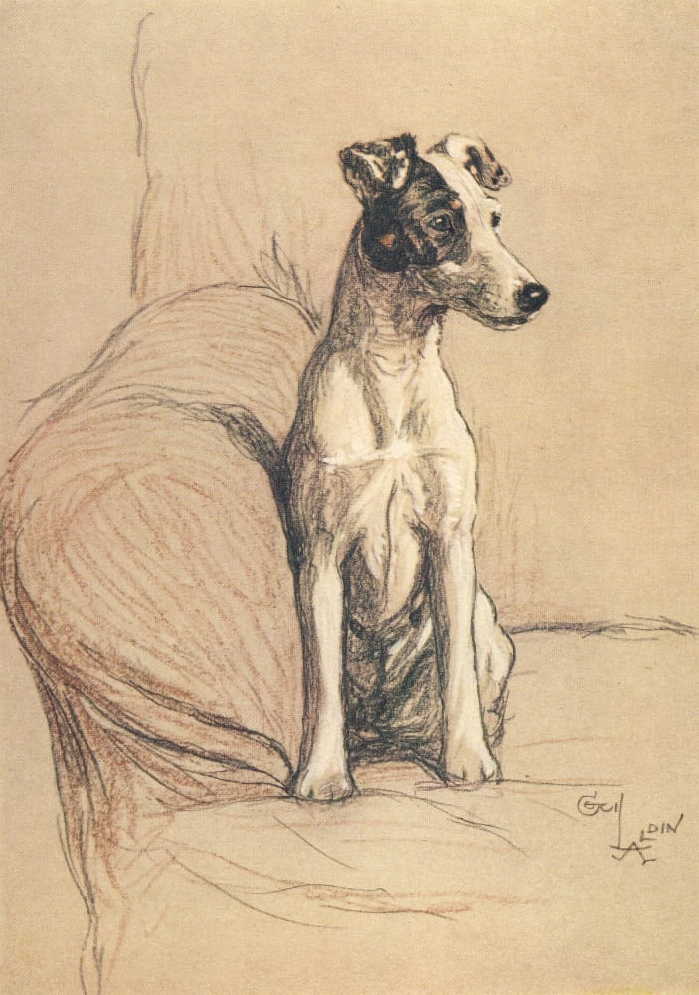 A Dozen Dogs or So 1928 Terrier Canvas Art - Cecil Aldin (18 x 24)