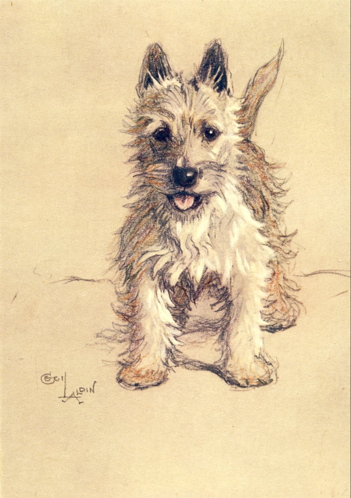 A Dozen Dogs or So 1928 Westie Canvas Art - Cecil Aldin (18 x 24)