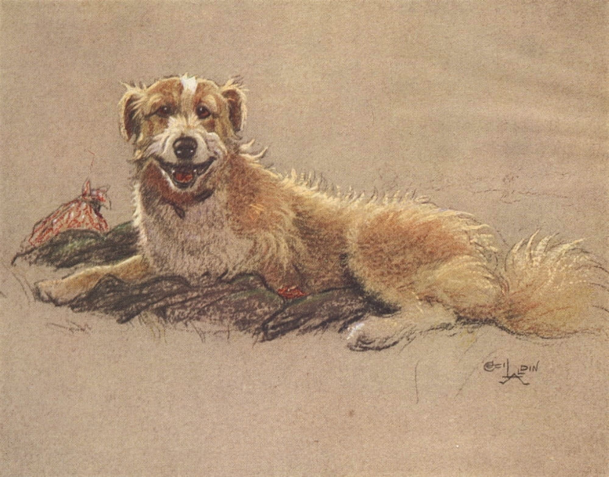 A Dozen Dogs or So 1928 Yellow-eyed collie Canvas Art - Cecil Aldin (18 x 24)