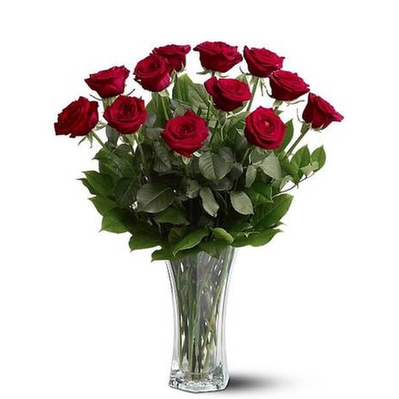A Dozen Premium Red Roses Standard
