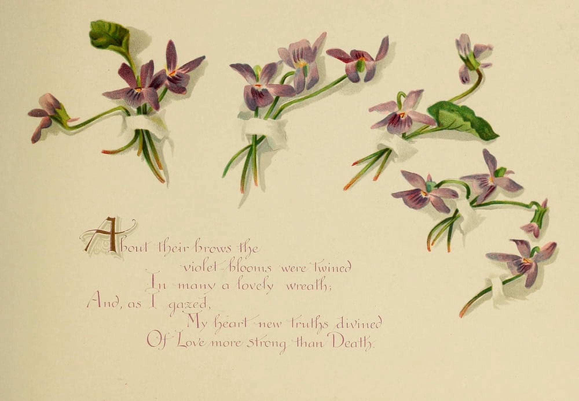 A Dream of Violets 1898 About their brows Canvas Art - Bessie Gray (18 x 24)
