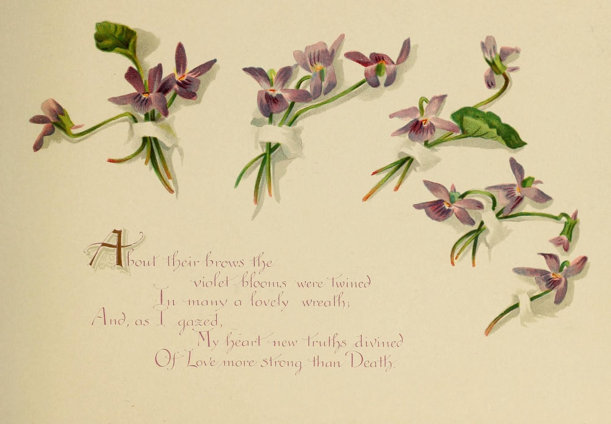 A Dream of Violets 1898 About their brows Canvas Art - Bessie Gray (24 x 36)