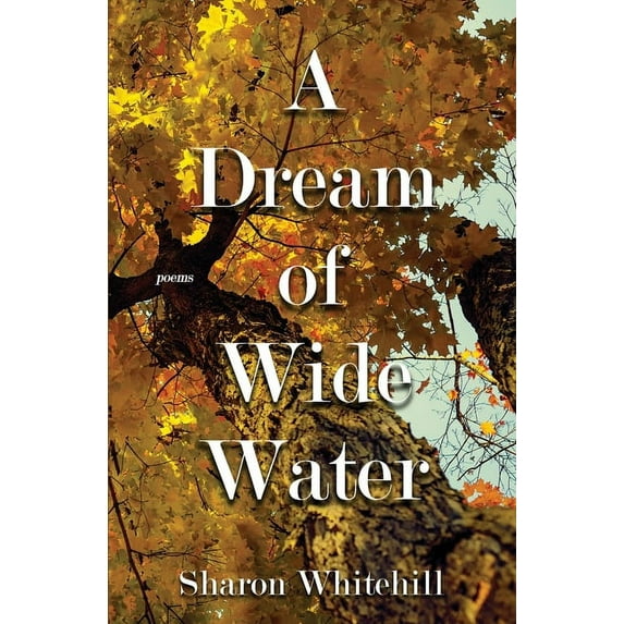 A Dream of Wide Water, (Paperback)